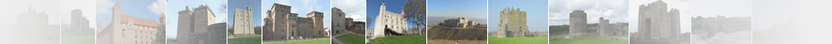 castle studies trust